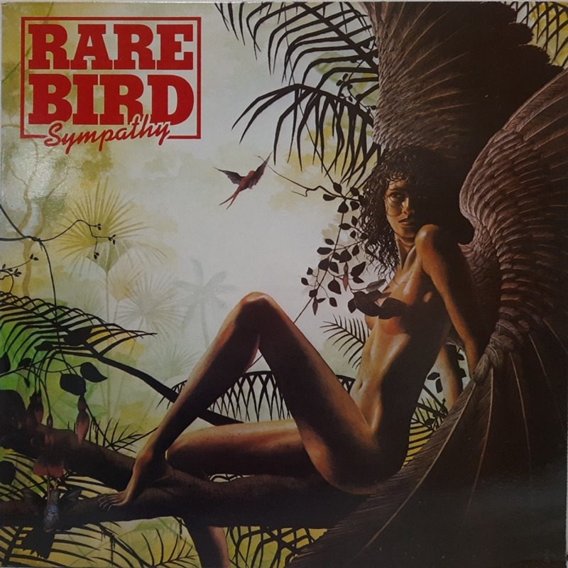 RARE BIRD / SYMPATHY