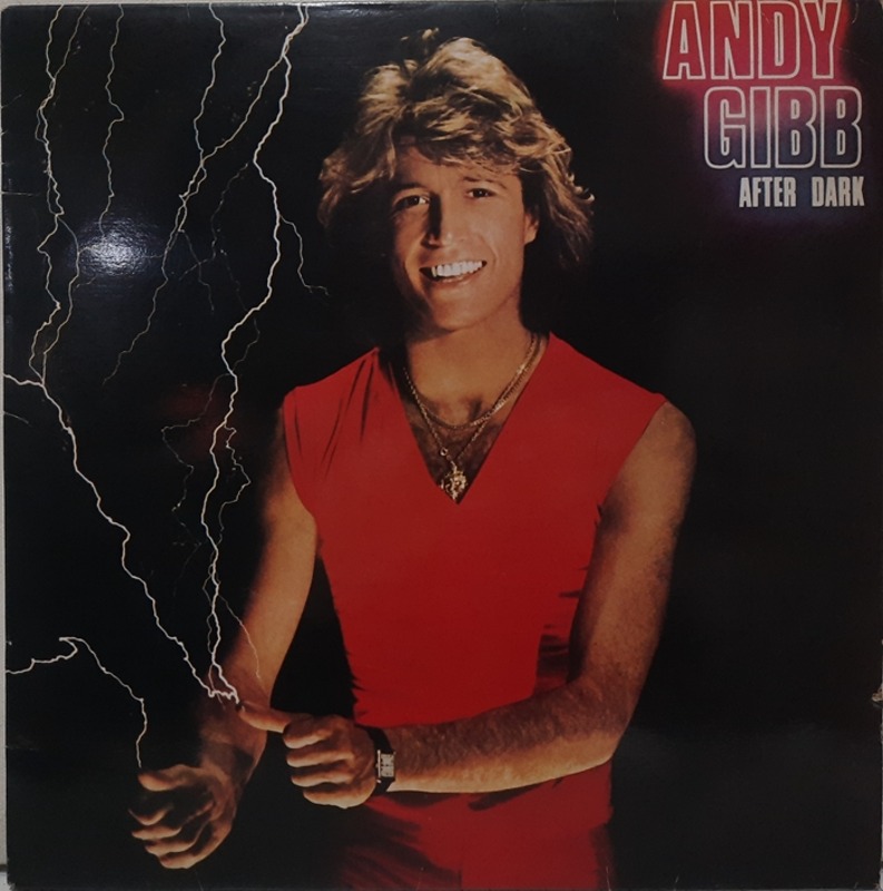 ANDY GIBB / AFTER DARK